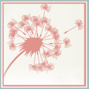 Newsletter_Dandilion